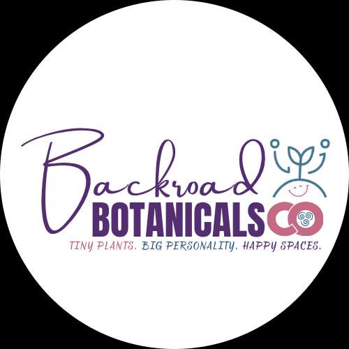 A Brand New Domain!