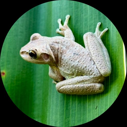 All your bog are belong to us.