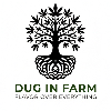 Our Site