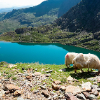 Eryri National Park