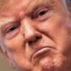 We Just Can't Leave Out Wondering What Trump is Hiding in the Epstein Files