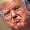 But No One Loves Trump, and What He Did to the Oval Office Makes it Look Like a Bargain Brothel
