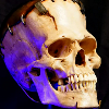 Lifesize Monster Collectibles - LabMonster Entertainment