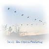PUBLISHING (sheetmusic)