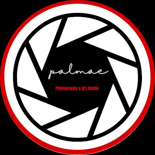 Palmae Studio