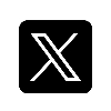 X (Twitter)