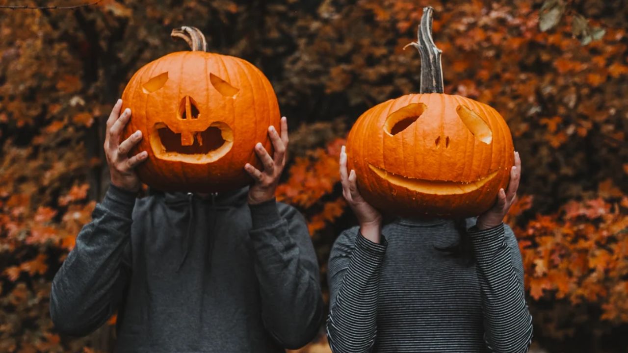 🎃➡️ I WANT MY FALL FEST PHOTO ⬅️🎃