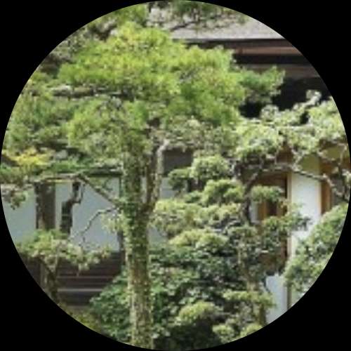 Shōjigō (商事号)