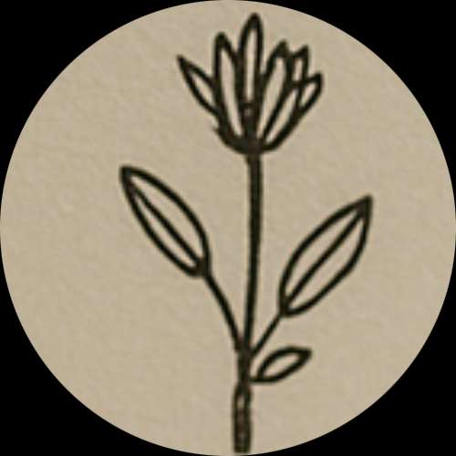 Soapward Apothecary
