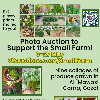 Photo Auction, 6&mdash;27 May!