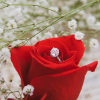 What is Upshot-Dating&reg;, the Modern Queen&rsquo;s Way to Date