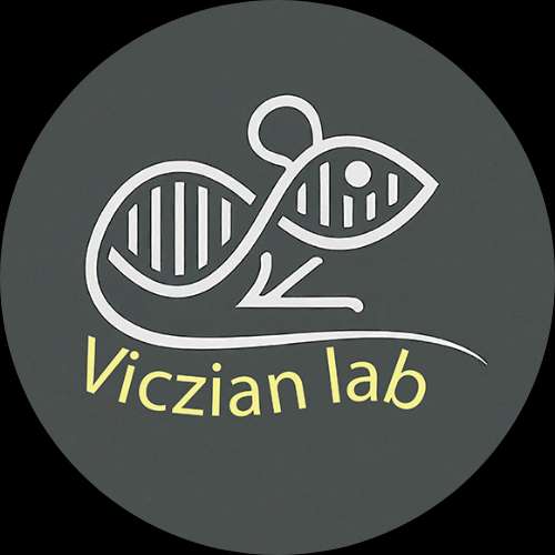 Viczian lab
