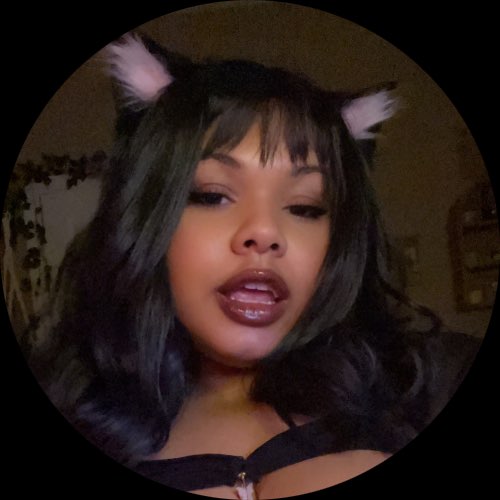 KURVYKITTY
