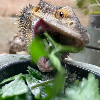 Watch me eat